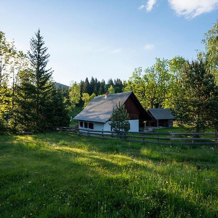 Holiday Home Srednja Vas Средня-Вас-в-Бохиню Экстерьер фото