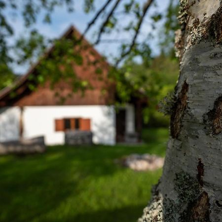 Holiday Home Srednja Vas Средня-Вас-в-Бохиню Экстерьер фото
