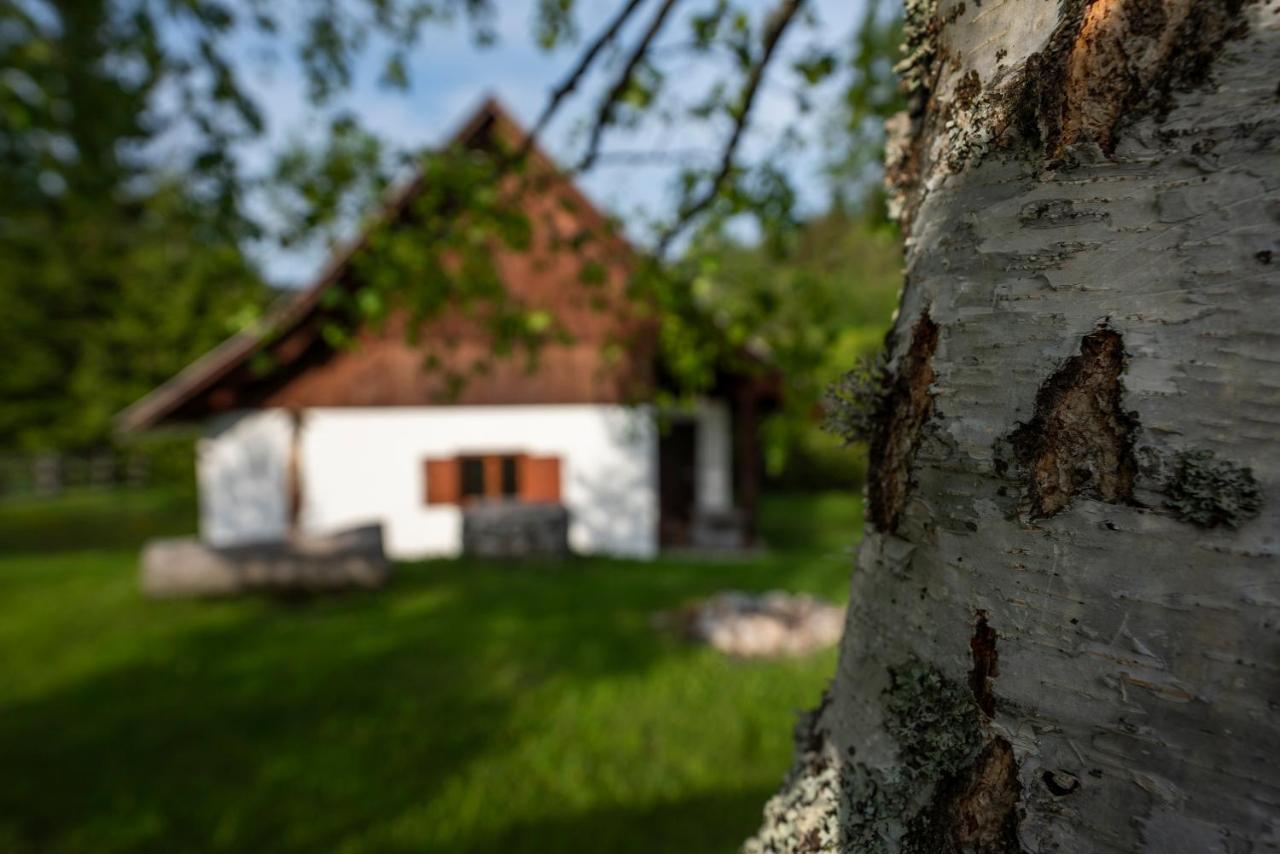 Holiday Home Srednja Vas Средня-Вас-в-Бохиню Экстерьер фото